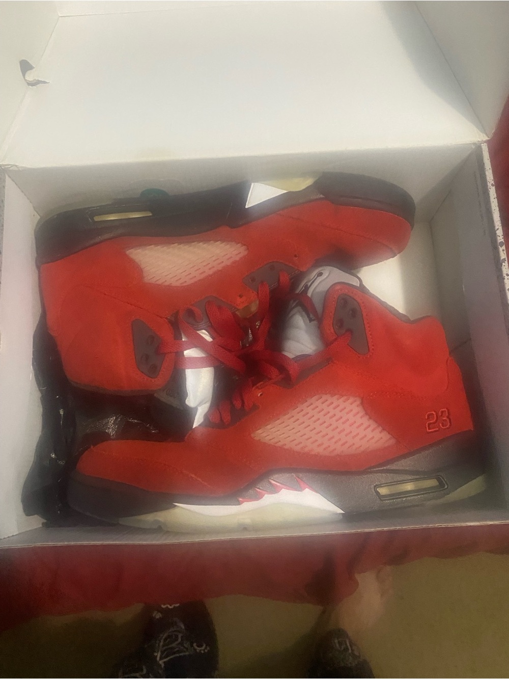 Jordan 5 raging bull